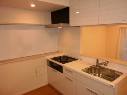 Kitchen. Interior in indoor (January 2014) Shooting