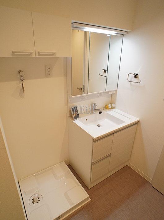 Wash basin, toilet. Dressing room