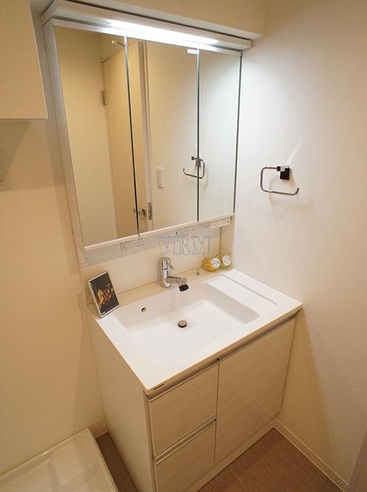 Wash basin, toilet. Vanity with a shower head