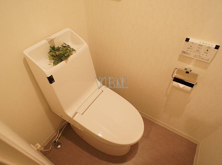Toilet. Washlet toilet