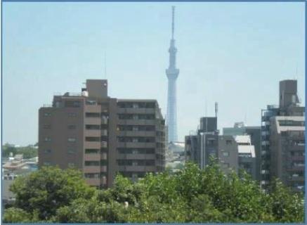 View photos from the dwelling unit. View from local