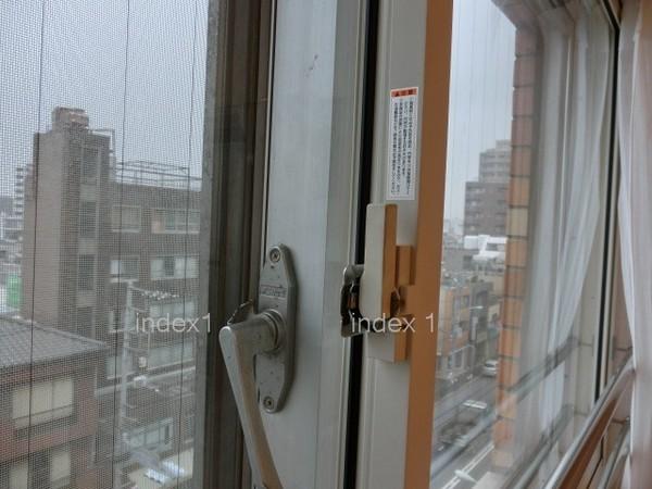 Other. Sound insulation is also high in pairs glass!