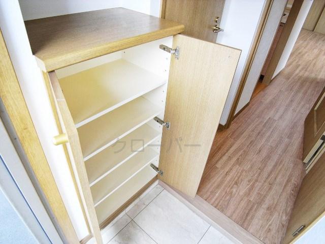 Entrance. Footwear purse