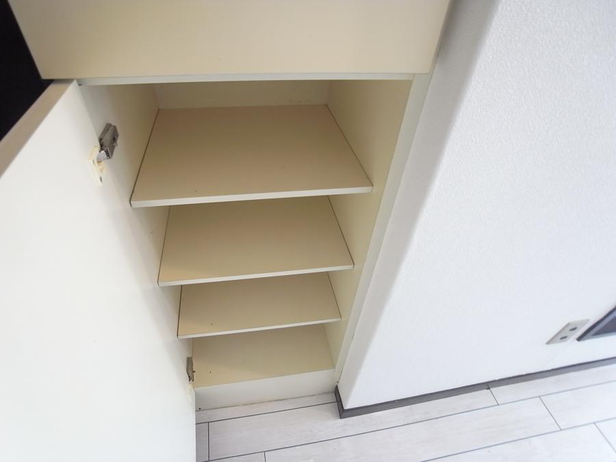 Receipt. Indoor (March 2010) Shooting