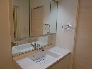 Wash basin, toilet. ~ November 28, the interior has been completed ~  Vanity with shower