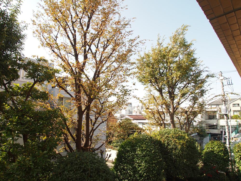 View photos from the dwelling unit. View from the site (November 2013) Shooting