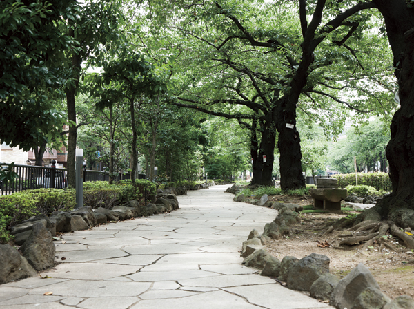 Surrounding environment. Harima slope Sakura Namiki (6-minute walk ・ About 460m)
