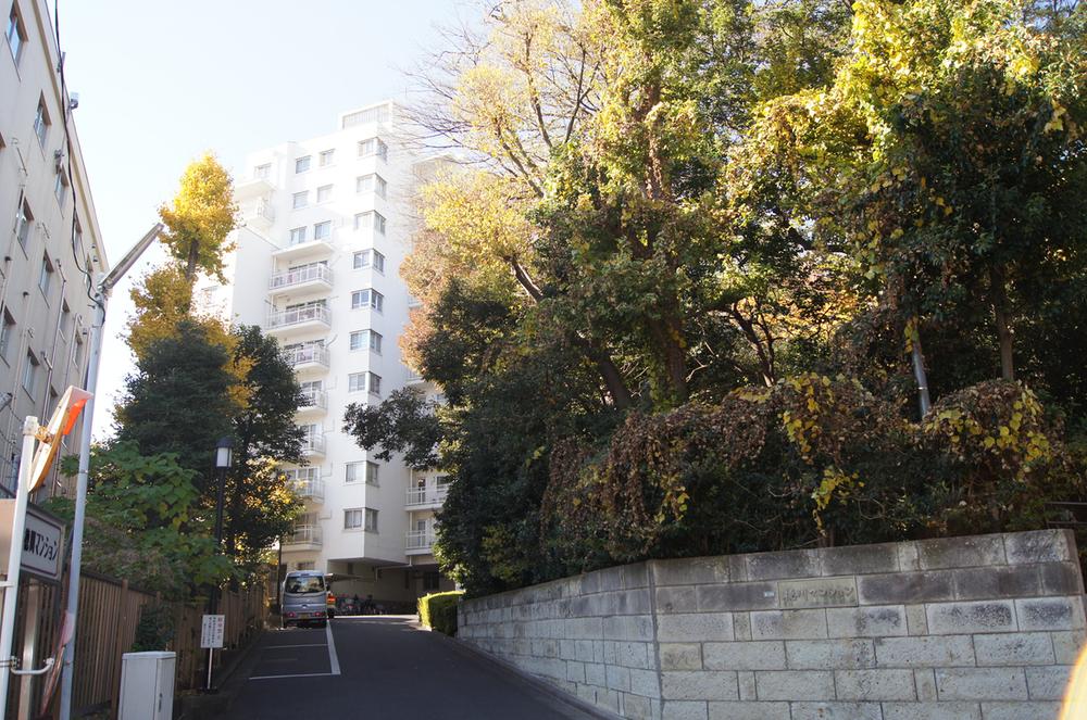 Local appearance photo. local