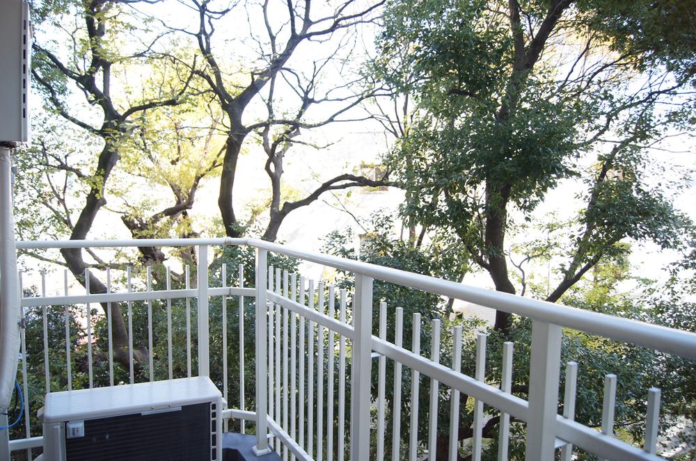 View photos from the dwelling unit. View from local