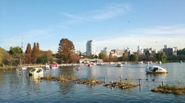 park. Until Shinobazunoike 490m