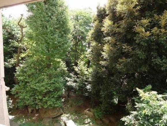 View photos from the dwelling unit