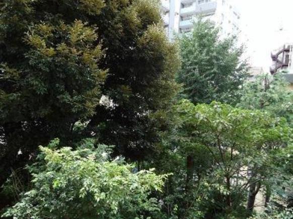 View photos from the dwelling unit