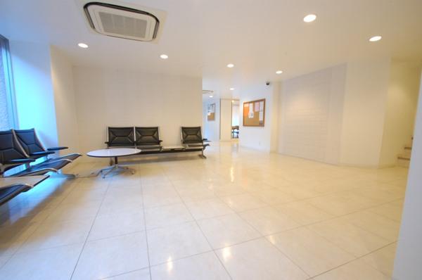 Entrance. Common areas