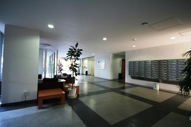 Entrance. Common areas