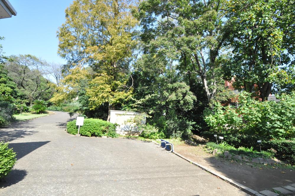 park. 300m to Koishikawa Botanical Garden