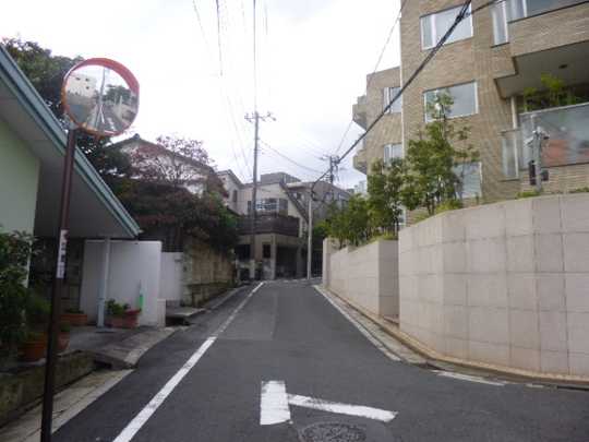 Local land photo. Photos from the northeast side of the road