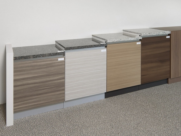 Directions to the model room (a word from the person in charge)