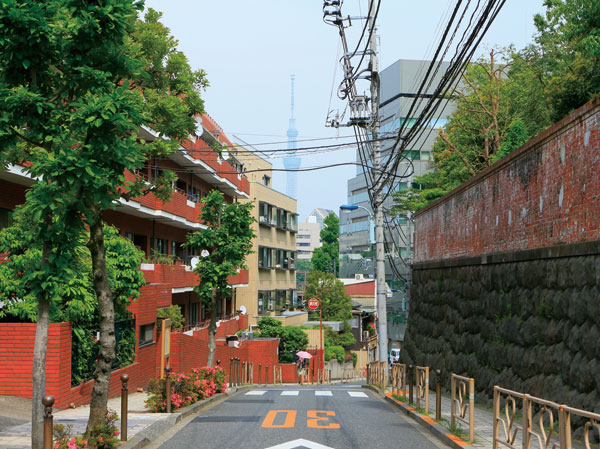 Surrounding environment. Unrelated hill (about 200m from local)