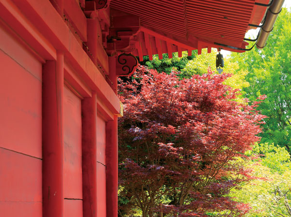 Surrounding environment. In Shimizu Kannondo Ueno Park (about than local 1200m)
