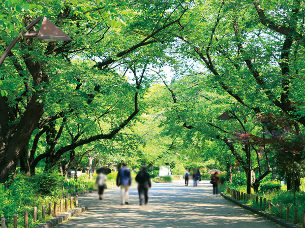 Surrounding environment. Ueno Park (about than local 1300m)