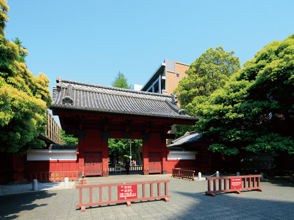 Surrounding environment. University of Tokyo Akamon (about 1000m from local)