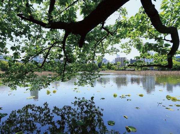 Shinobazunoike (7 min walk ・ About 550m)