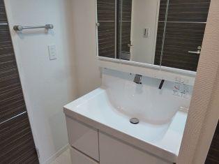 Wash basin, toilet. Vanity of new