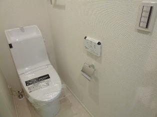 Toilet. Shower toilet