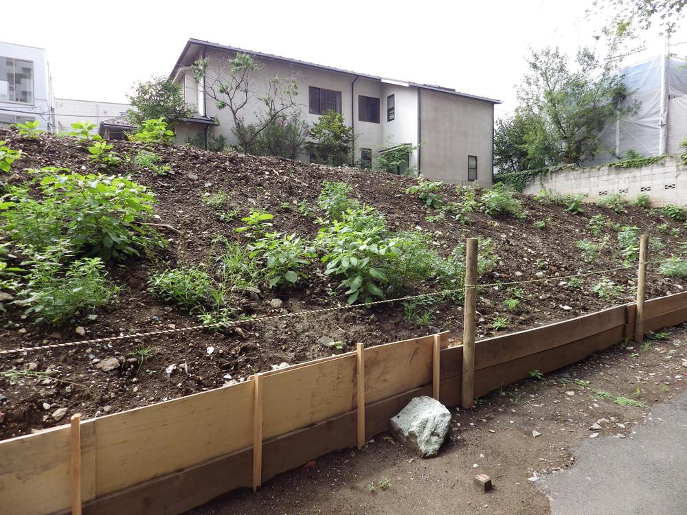 Local land photo. C compartment
