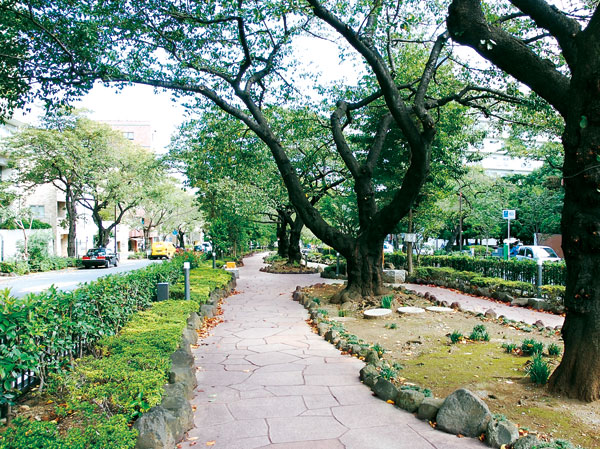 Surrounding environment. Yoshino cherry tree lined with about 120 cherry trees around the spring "Harima slope". "Bunkyo ・ Is one of the Great Festival "of flowers" Bunkyo Cherry Blossom Festival ※ "It will be held. Is the spot that many people visit. (About from local 450m)