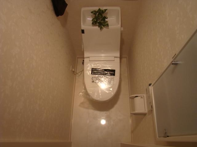 Toilet. Indoor (11 May 2013) Shooting