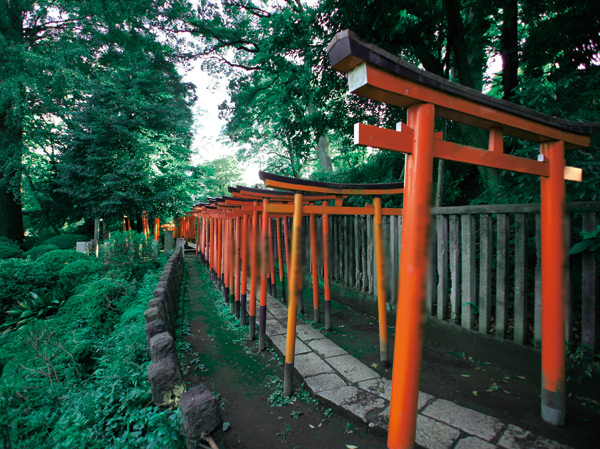 Surrounding environment. Nezu Shrine Walk 16 minutes / About 1270m