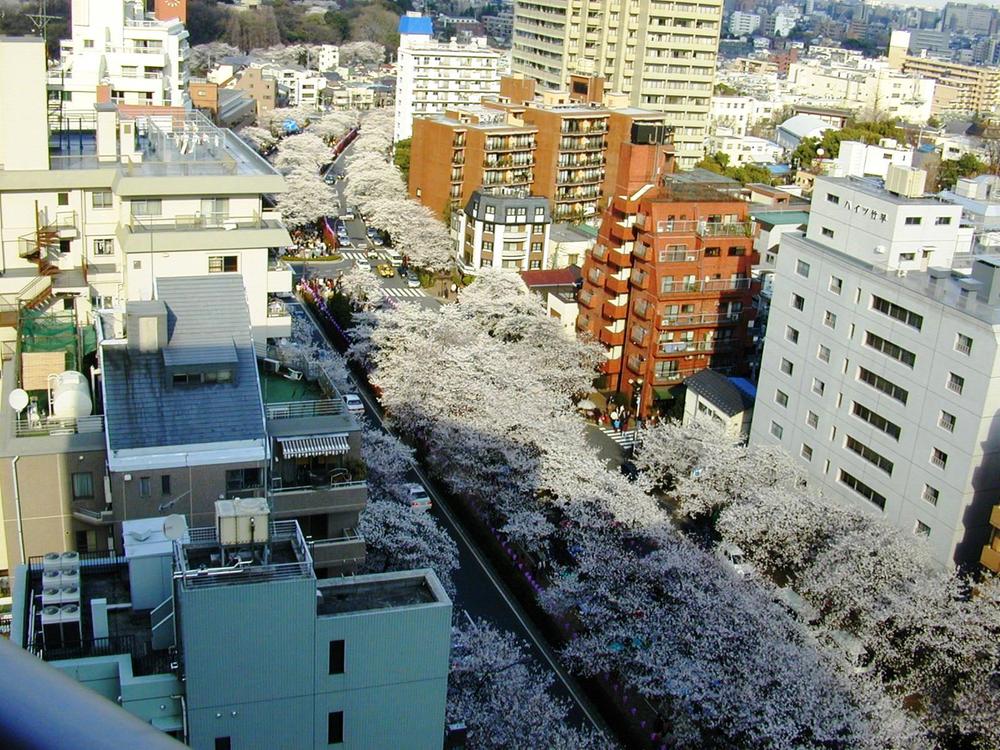 View photos from the dwelling unit. View from local (04 May 2012) shooting