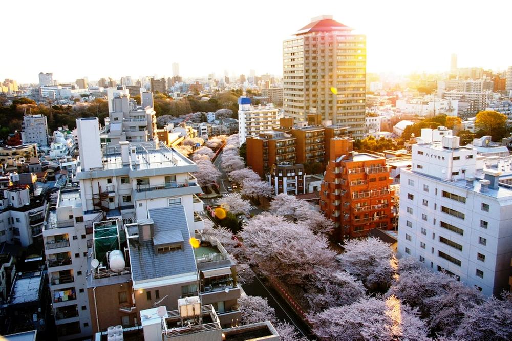 View photos from the dwelling unit. View from local (04 May 2012) shooting