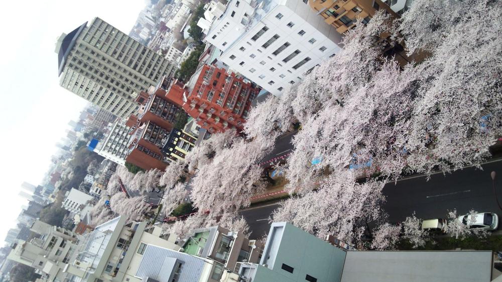 View photos from the dwelling unit. View from local (04 May 2013) Shooting