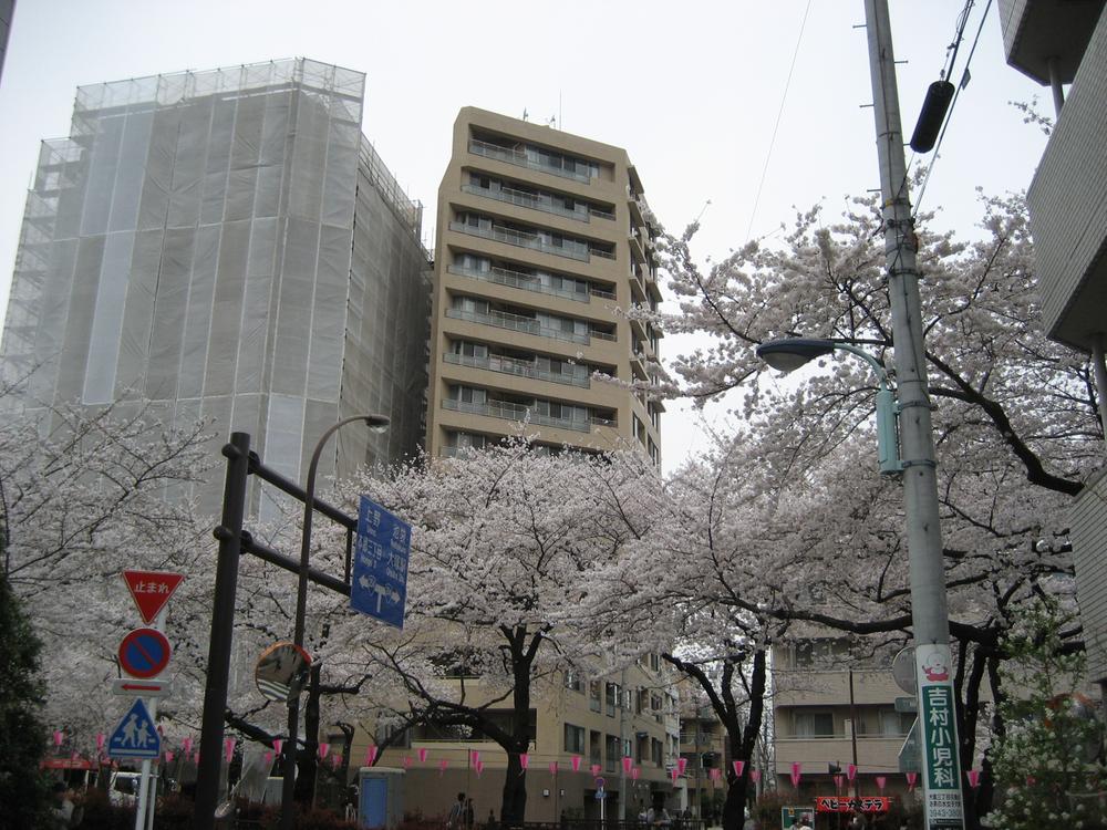 Local appearance photo. View from local (04 May 2013) Shooting