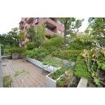 Balcony. Local (August 2013) Shooting