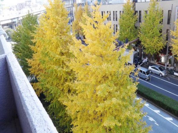 View photos from the dwelling unit