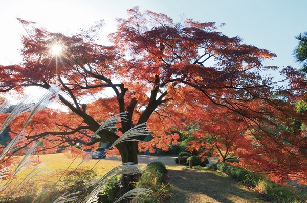 Rikugien (about 165m)