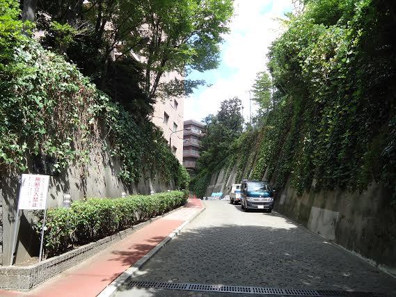 Other local. Local (12 May 2013) Shooting