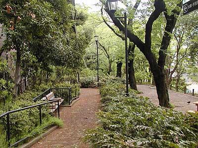 park. 914m to the forest park of education