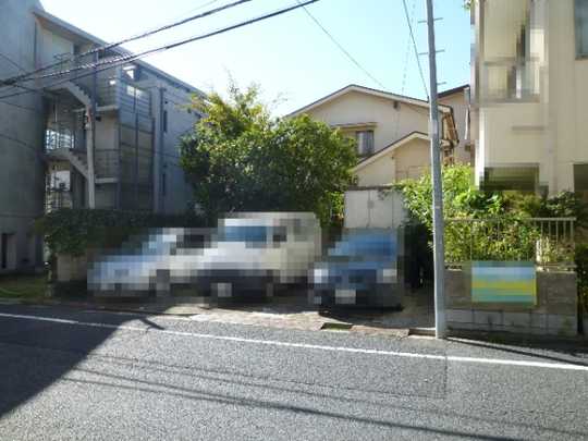 Local land photo. Appearance 1