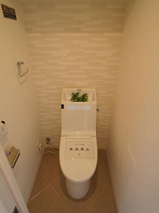 Toilet. With Washlet