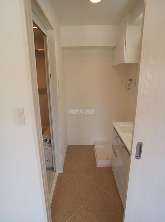 Wash basin, toilet. Dressing room