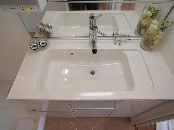 Wash basin, toilet. Vanity with a shower head