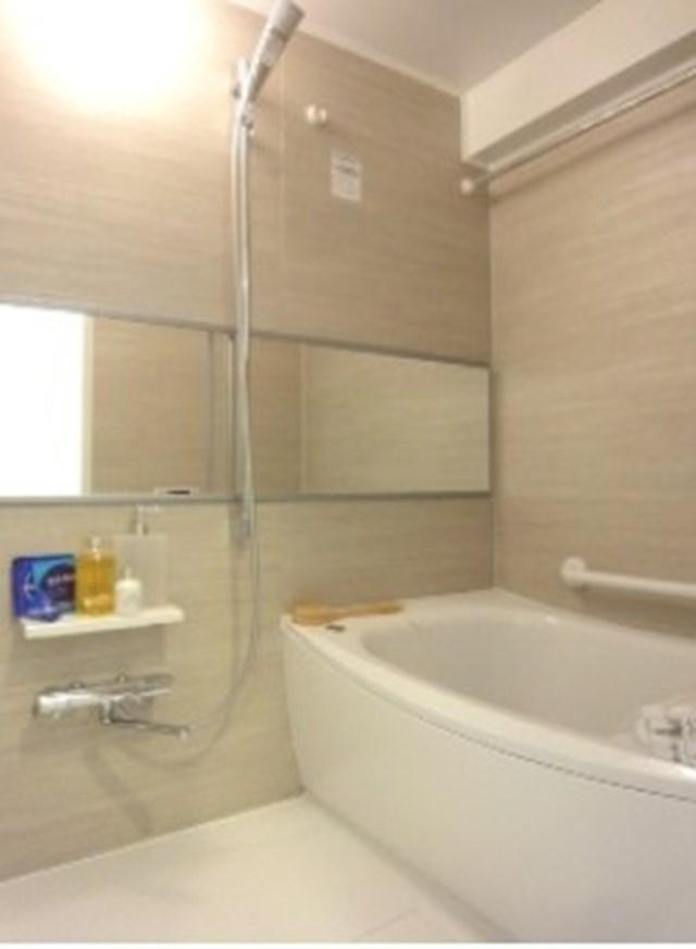 Other. Image (bathroom)