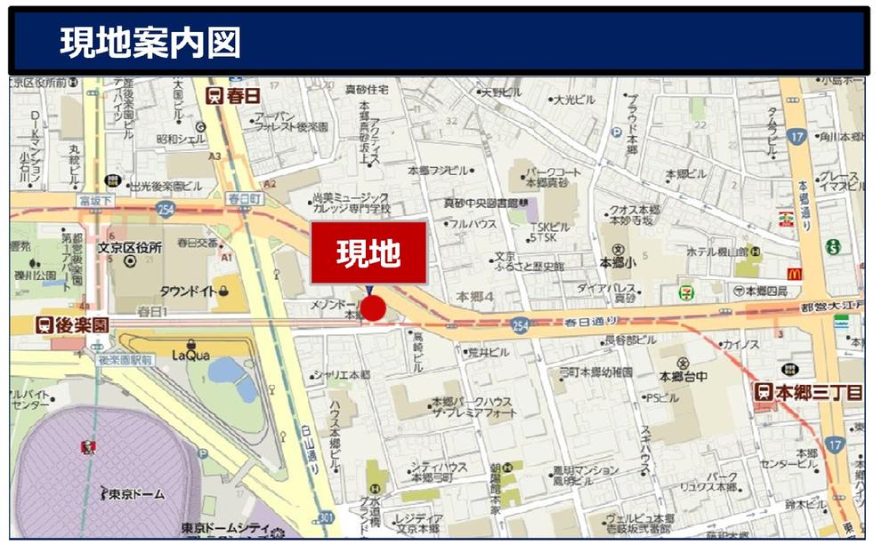 Other. Guidance view of the local