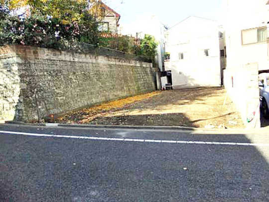 Local land photo. appearance