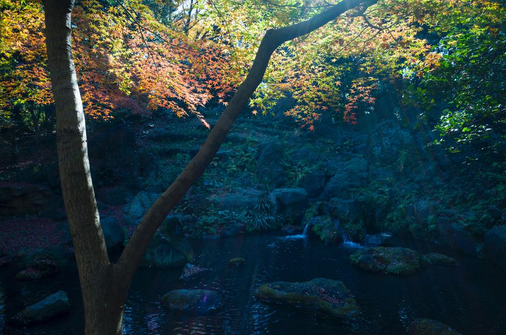 Other. Until Rikugien 750m (9 minutes)