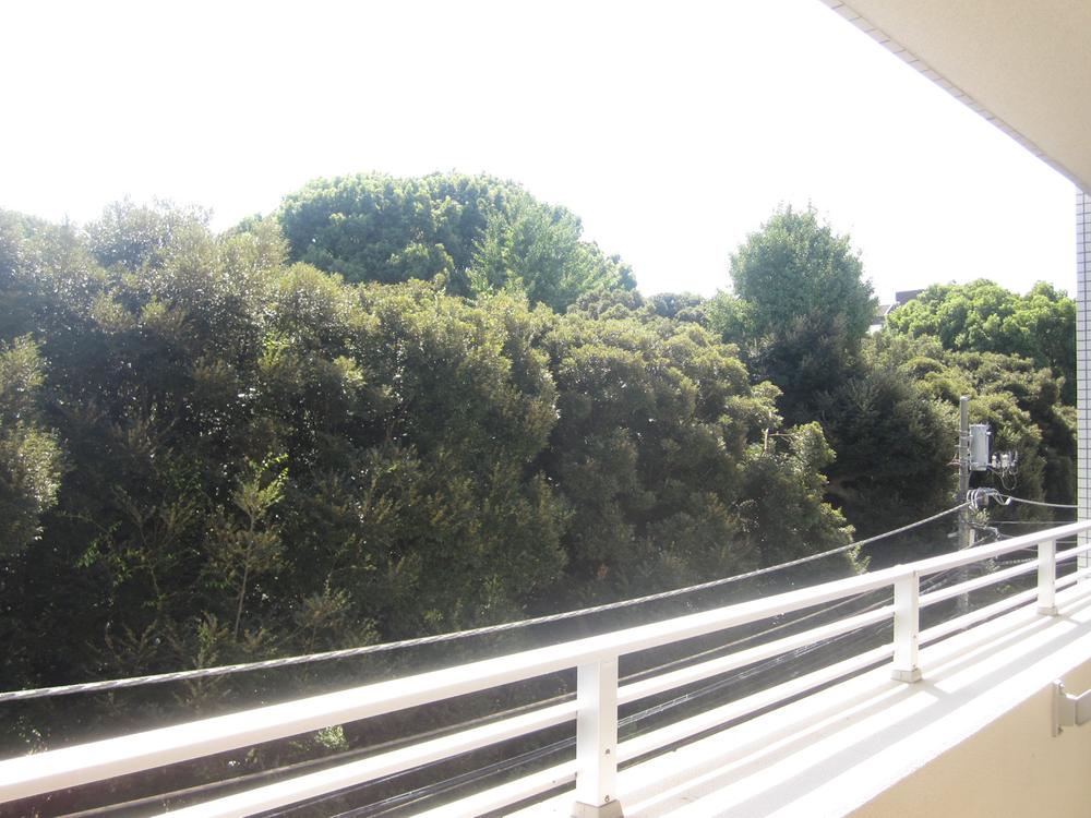 View photos from the dwelling unit. View from local (September 2013) Shooting